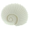 Frank Flechtwaren LED Shell White, Dimensions: 18 x 9 x
