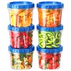 BiuLeon 6 Pack-24 oz Freezer Storage Containers, Plastic Food Storage
