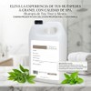 Shampoo a Granel Anticaspa y Seborrea con Tea Tree Oil