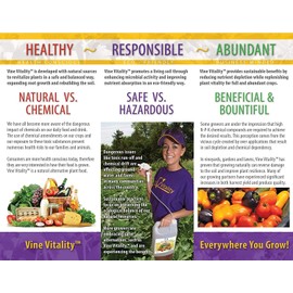 Big Blooms & Buds K5 Liquid Nutrient Concentrate - 32 oz.