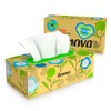 Renova Renova Recycled Facial Tissues | Box of 72 Tissues
