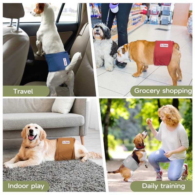 Male Dogs Diapers, Washable Reusable High Absorbing Boy Belly Bands