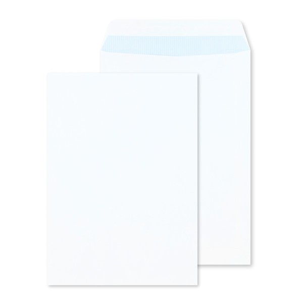 RAYLU PAPER - Pack of Large White Peel and Seal