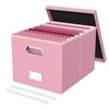 Oterri File Organizer Box,Filing Box with Lid,File Box for Letter/Legal