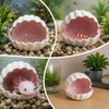 Ceramic Shell Fish Hideout Axolotl Tank Decor Aquarium Cave Small