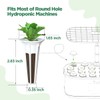 LetPot 172 Pcs Seed Pod Kits, Hydroponics Growing Sponges, Grow