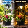 Solar Outdoor Lights with Flower Planter Box – Vintage LED