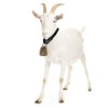 Nifocc Pet Copper Bells Farm Animal Bells Anti-Lost Bells DIY