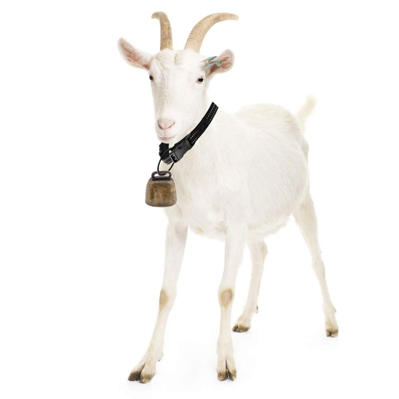 Nifocc Pet Copper Bells Farm Animal Bells Anti-Lost Bells DIY
