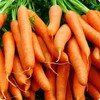 1200 Little Finger Carrot Seeds for Planting Heirloom Non-GMO 2+