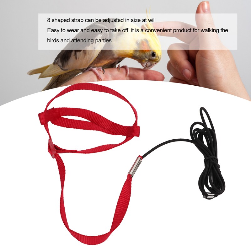 Bird Leash Bite Resistant Adjustable Parrot Flying Training Rope for