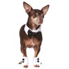 Rubies Bowtie and Cuff Set Pet Accessories