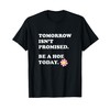 Tomorrow Isn’t Promised Be A Hoe Today Apparel T-Shirt