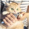 FOMIYES 2pcs Cat Grooming Clippers Pet Paw Trimmer Professional Dog