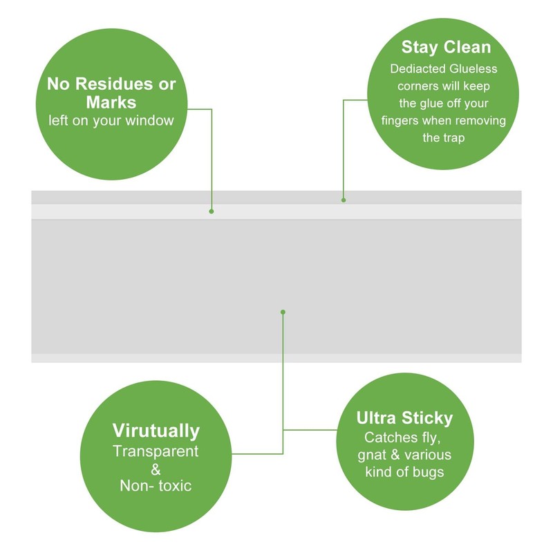 LFSYS 100 Pack Window Fly Trap, Fruit Fly Traps for