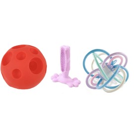 Piggy Poo and Crew Pig Box - Pet Box - Bundle of Toys Gift Box for Dogs, Pigs, Rabbits, & Small Pets