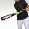 Baseball Field Force, Swinging Bat, Batting Practice, Batweight, C-Ring, Training,