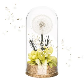 elthmpr Wish filler dandelion in glass, flowers birthday gift for women, lucky charm gift, preserved flowers for girlfriend, wife, mum, colleague, birthday, wedding, Christmas