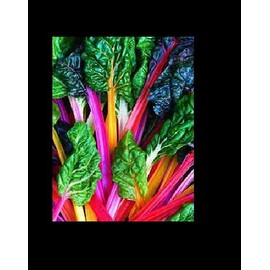 Northern Lights Mix 35-2K Seeds Swiss Chard Heirloom Intense Colors Bulk (250)