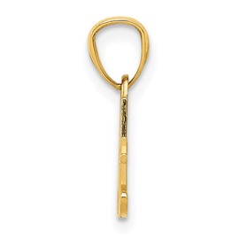 Saris and Things 14k Yellow Gold Solid #1 Aunt Charm Pendant