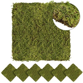 Tondiamo 6 Sq. Ft. Preserved Natural Sheet Moss for Plants Dried Moss Mat Spring DIY Green Moss for Decorating Wedding Craft Table Wall Garden Diorama Art Easter Decor (Light Green)