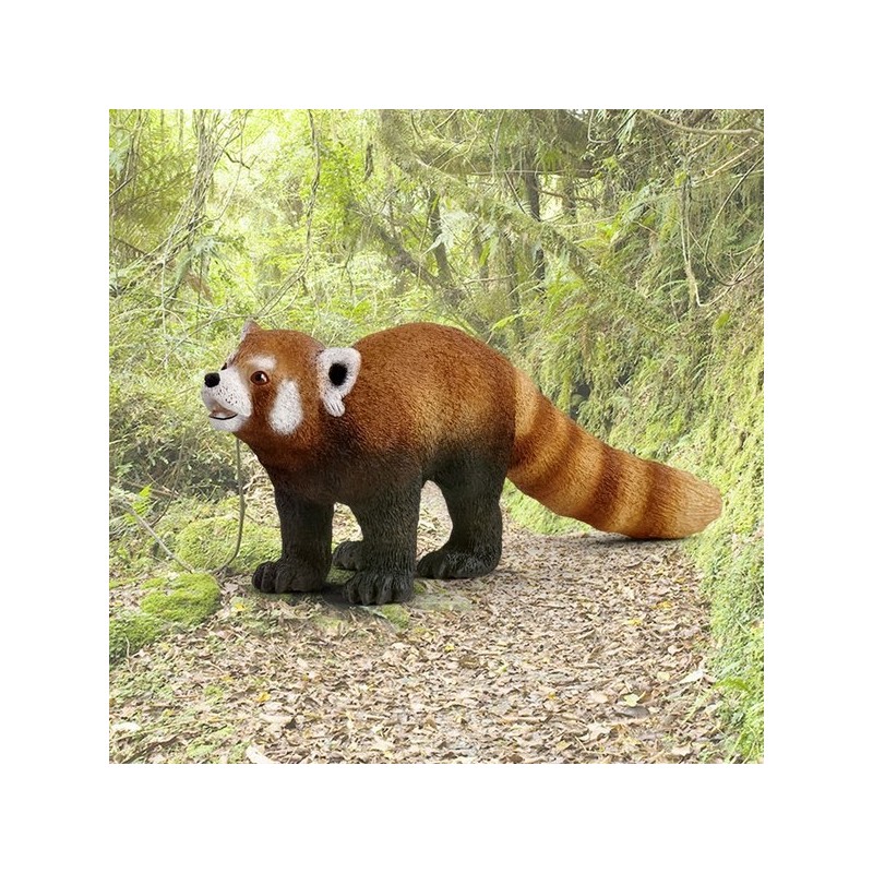 Raccoon Panda / 너구리판다