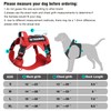 WINSEE Service Dog in Training Harness with 5 PCS Patches,