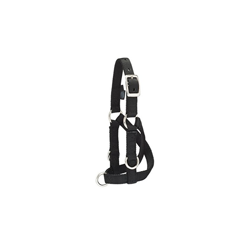 Weaver Leather Livestock Sheep & Goat Training Halter, Medium, Black