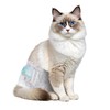 Disposable Cat Diapers, 40 Count – Perfect for Both Male