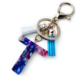 Fario Alphabet Initial Letter A-Z Keychains for Women Tassel Pendant Key Ring for Purse Handbags Women Girl (T)