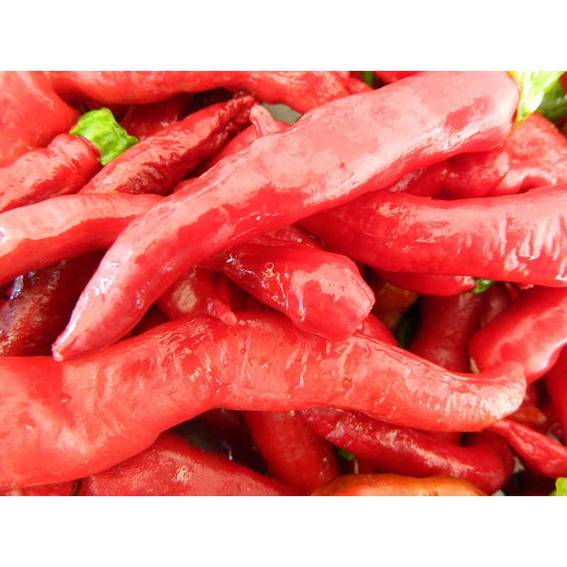 Kashmiri Mirch Chilli Seeds - 10 Fresh Seeds - Great