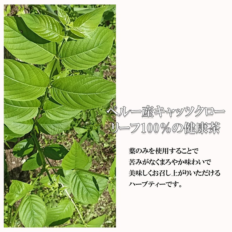 キャッ茶 キャッツクローリーフティー 1.5g×30包入り ペルー産キャッツクローリーフ１００％ ノンカフェイン ハーブティー 健康茶 （国内製造）
