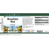 Brazilian Nut - 450 mg (100 Capsules, ZIN: 519323)
