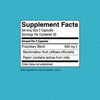 Nature's Sunshine Small Intestine Detox, 100 Capsules | Natural Formula