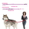 TSPRO Hands Free Dog Leash Adjustable Walking Running Safety Control