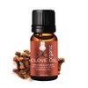 Ruza Clove Essential Oil & Pure for Teeth,Skin and Hair-15ML
