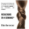 Shampoo Herbreeze Romero Cola Caballo