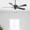 Hunter Fan Company 51737 Swanson Ceiling Fan, Matte Black