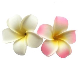 2Pcs 7cm White and Pink Hawaiian Frangipani Plumeria Clips Plumeria Hair Clip and Barrettes Foam Head Flower Party Beach Hair Clip Hair Clips Hair Accessories Hawaiian Flower Hair Clips