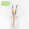 Bamboo Toothbrushes - Sustainable - Biodegradable - Pack of 6