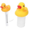 2Pcs Water Thermometer Set High Temperature Resistant Pool Chlorine Dispenser