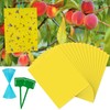 30 Pack Yellow Sticky Traps Fruit Fly Trap, Double-Sided Fungus