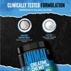 Animal Creatine Chews – Enhanced Creatine Monohydrate Chewable Tablets with