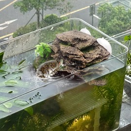 kathson Turtle Basking Platform with Suction Cup,Turtle Ramp Climbing Basking Platform Artificial Plants Decor Resting Basking Terrace Aquarium Ornament Rock for Turtle Frogs Lizards Bearded Dragon