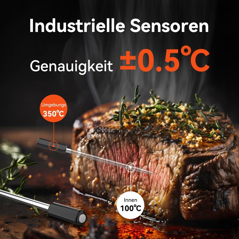 Smart Meat Thermometer
