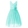Bow Dream Flower Girl Dress Junior Bridesmaids V-Neckline Chiffon Mint