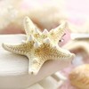 UUYYEO 4 Pcs Sea Star Hair Clips Sea Shell Hair