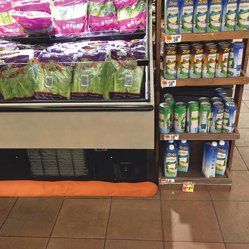 Quick Dam WUGG4-25 Indoor Water Dams – 25-Pack, 4 ft