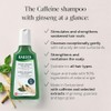 Rausch Caffeine Shampoo with Ginseng 200ml - Relief for Hair
