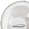 Brentwood Kool Zone F9DW 9" Oscillating Desk Fan, One Size,